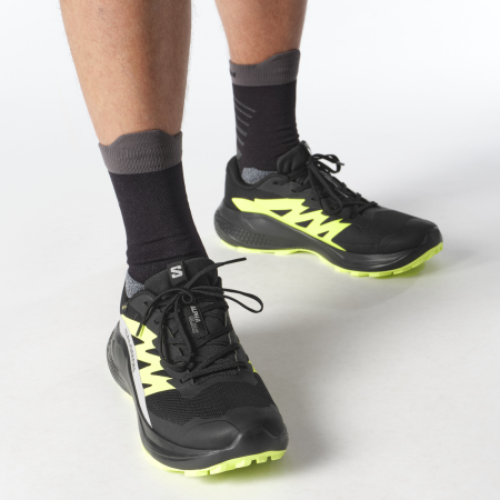 Herren Laufschuhe Salomon Alphaglide Gore-Tex