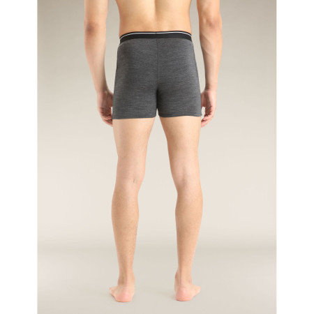 Herren-Boxershorts Icebreaker Mens Anatomica Boxers