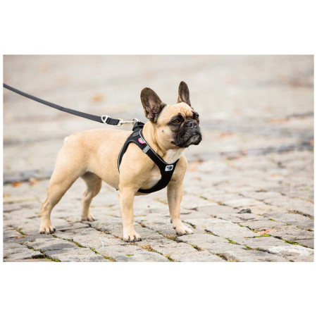 Hundeleine Curli Adjustable Leash Nylon