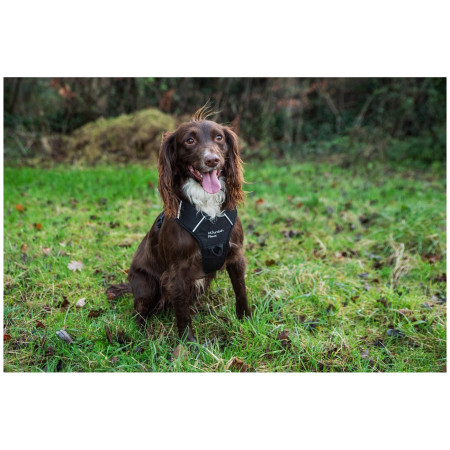 Hundegeschirr Mountain Paws Dog Harness