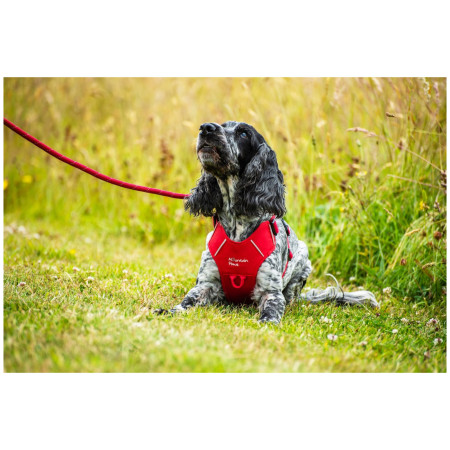 Hundegeschirr Mountain Paws Dog Harness
