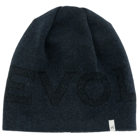 Mütze Devold Everyday Logo Wool Beanie dunkelblau Ink