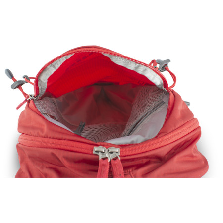 Rucksack Pinguin Ride 19 Green