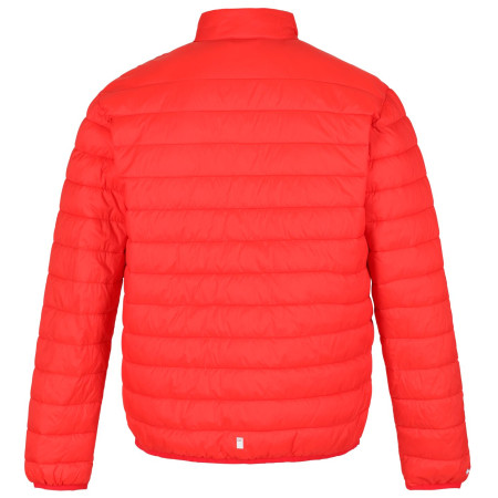 Herrenjacke Regatta Hillpack