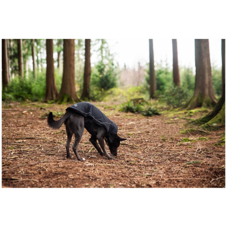 Regenmantel für Hunde Mountain Paws Fleece-Lined Dog Raincoat