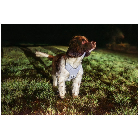 Hundegeschirr Mountain Paws Reflective Dog Harness