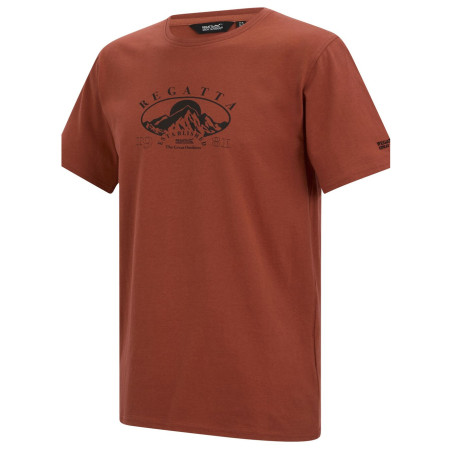 Herren-T-Shirt Regatta Cline IX