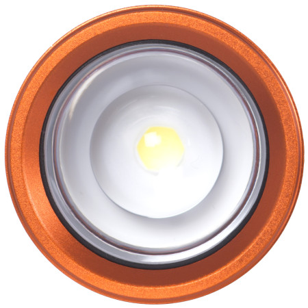 Leuchte Lifesystems Intensity 545 Hand Torch, Rechargeable / AAA Battery