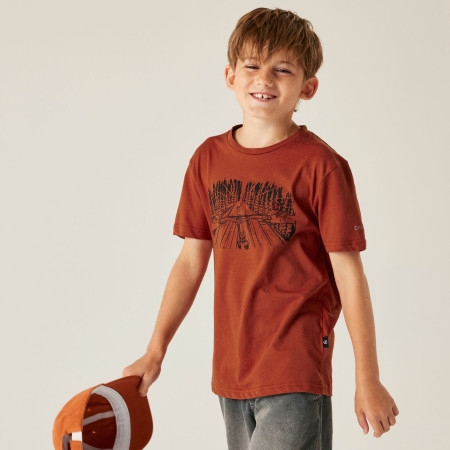 Kinder-T-Shirt Dare 2b Trailbazer III Tee Arabian Spice