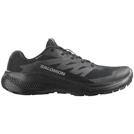 Herren Laufschuhe Salomon Alphaglide Gore-Tex