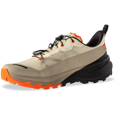 Herrenschuhe Dynafit Traverse 2