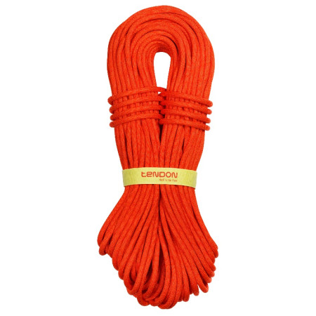 Kletterseil Tendon Master 9,4 mm (60 m) STD orange bright orange