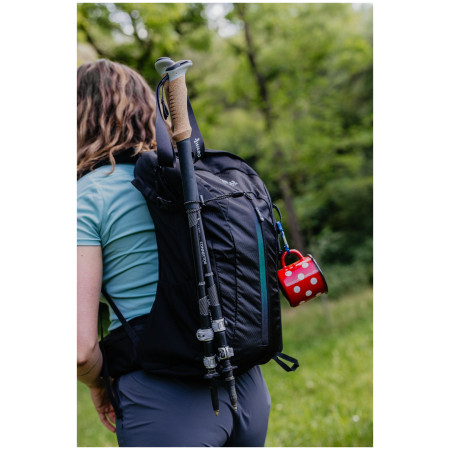 Rucksack Zulu Flaker 20 L