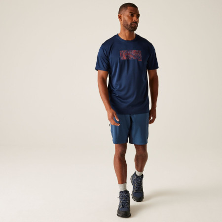 Herren-T-Shirt Regatta Fingal IX