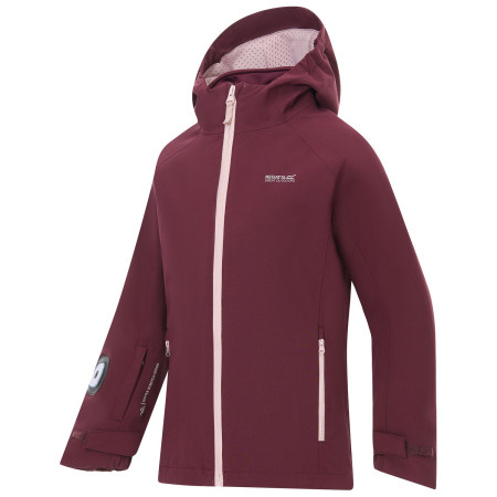 Mädchen-Winterjacke Regatta Girls Trekktain 3-in-1 II FigPowLilac