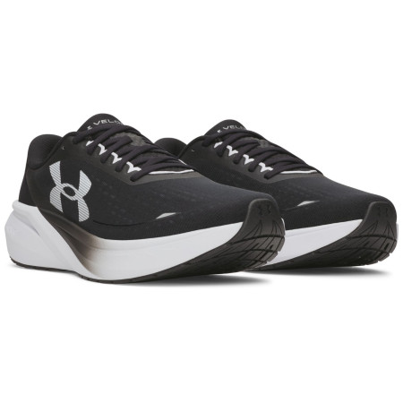 Herren Laufschuhe Under Armour UA Velociti Pace