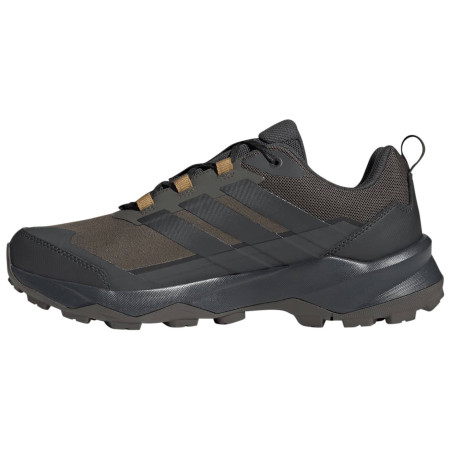 Wanderschuhe Adidas Terrex Skychaser Ax5 Gtx