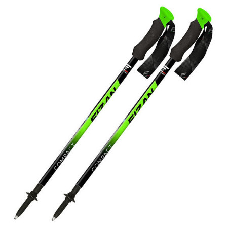 Trekkingstöcke Fizan Compact grün/schwarz Green