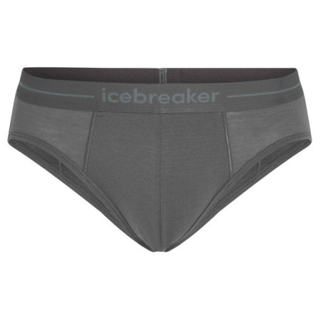 Herrenslips Icebreaker Mens Anatomica Briefs