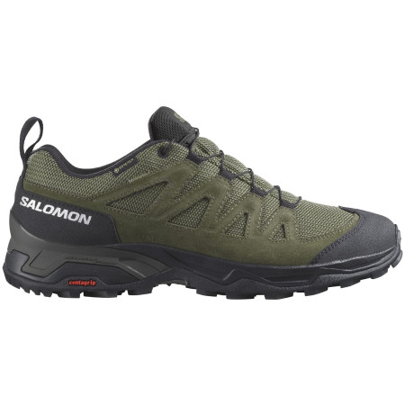 Wanderschuhe Salomon X Ward Leather Gore-Tex