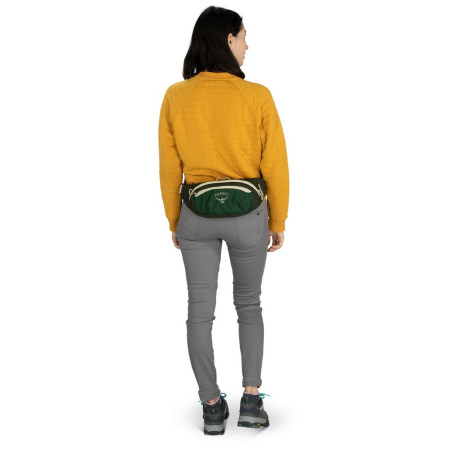 Hüfttasche Osprey Daylite Waist Black