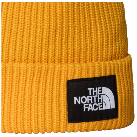 Mütze The North Face Salty Lined Beanie