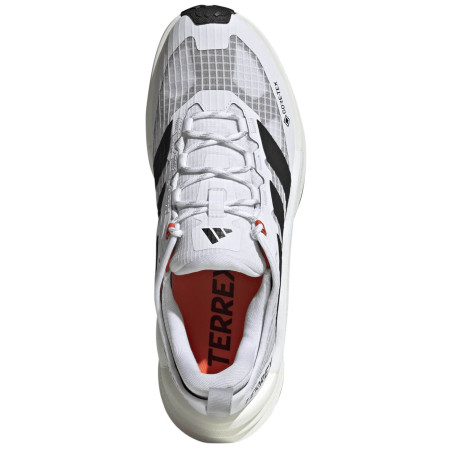 Wanderschuhe Adidas Terrex Freehiker 3 Low Gtx