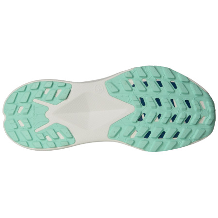 Damen Laufschuhe The North Face Altamesa 300