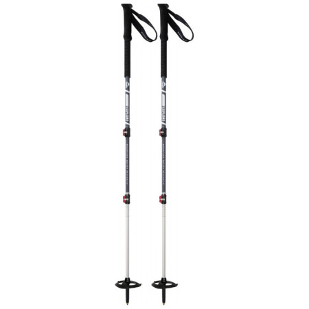Trekkingstöcke MSR Dynalock Explore 63-140 cm grau