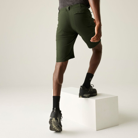 Herrenshorts Regatta Highton Shorts Long II