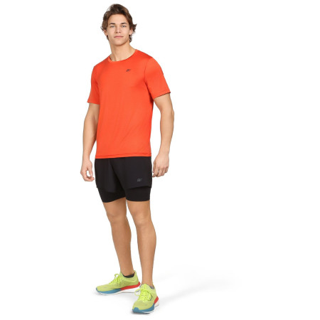Herren-Funktionsshirt Alpine Pro Basik