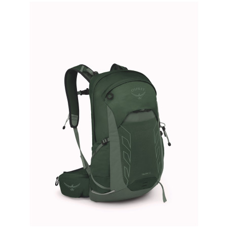 Wanderrucksack Osprey Talon 22 grün green canopy/pine leaf