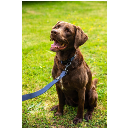 Hundeleine Mountain Paws Extra Tough Dog Lead