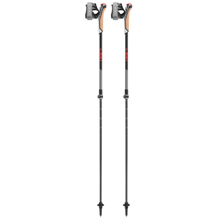 Nordic Walking Stöcke Leki Poles Instructor Lite schwarz/rot dark anthracite-silvergray-bright red
