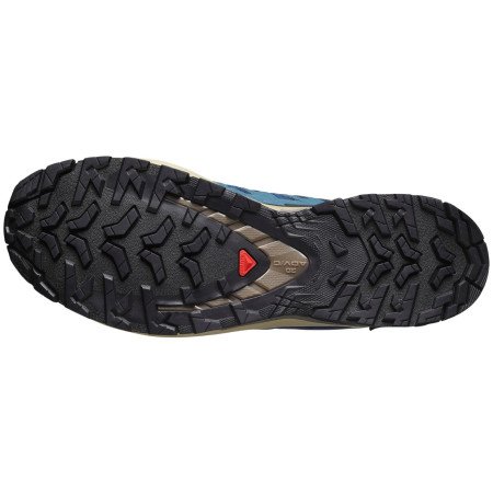Wanderschuhe Salomon Xa Pro 3D V9 Gore-Tex