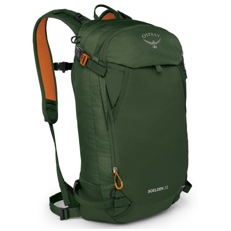 Rucksack Osprey Soelden 22 grün DustmossGreen