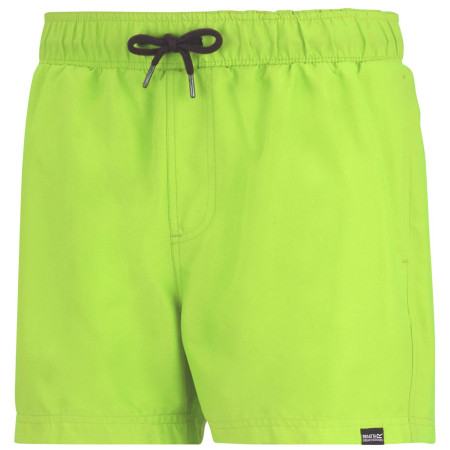 Herrenbadeanzug Regatta Mawson Swim Shorts III