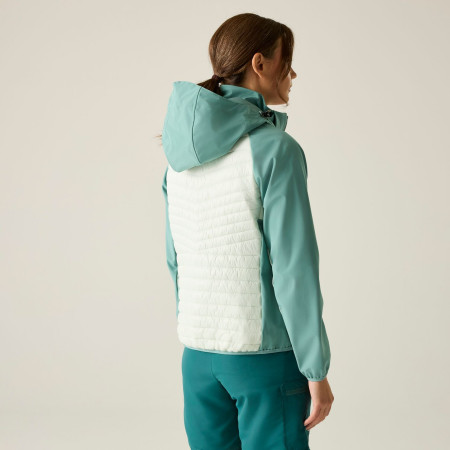 Damenjacke Regatta Womens Pro Hybrid II