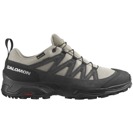 Wanderschuhe Salomon X Ward Leather Gore-Tex