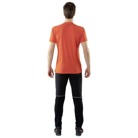 Herren Winterhose Dynafit Transalper Warm M Pnt