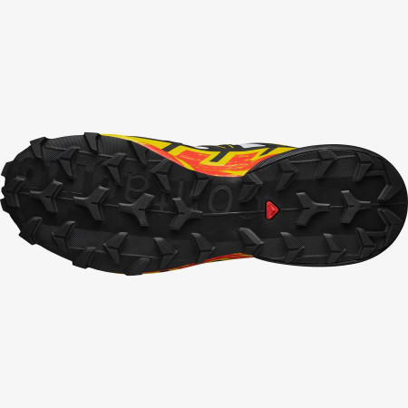 Herrenschuhe Salomon Speedcross 6