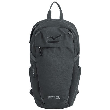 Rucksack Regatta Prism 20L schwarz Ash