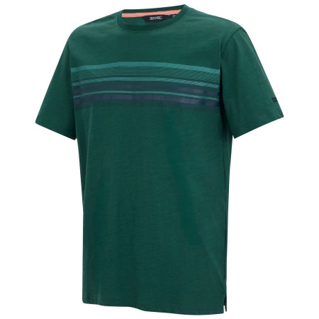 Herren-T-Shirt Regatta Rendro