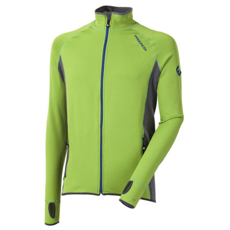 Herren-Sweatshirt Progress TS Torez II 17BA grün/grau Green/Gray