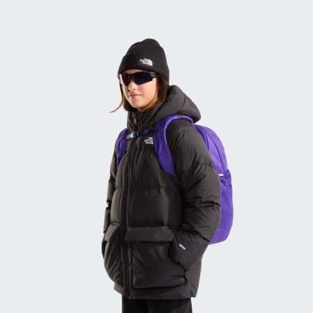 Schulrucksack für Oberstufe The North Face Y Court Jester
