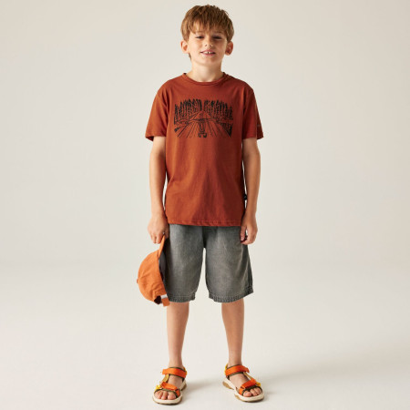 Kinder-T-Shirt Dare 2b Trailbazer III Tee Arabian Spice