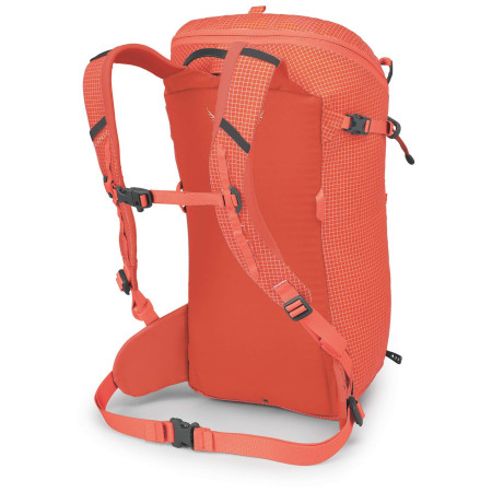 Kletterrucksack Osprey Mutant 22