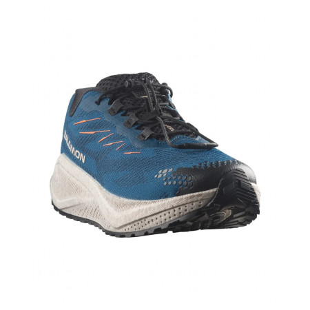 Herrenschuhe Salomon Aero Blaze 4 Grvl