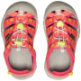 Kindersandalen Keen Newport Boundless Ch