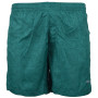 Herrenshorts Hi-Tec Nafli grün Green/LightGreen